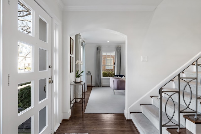 entrance foyer with ornamental molding and dark hardwood / wood-style flooring