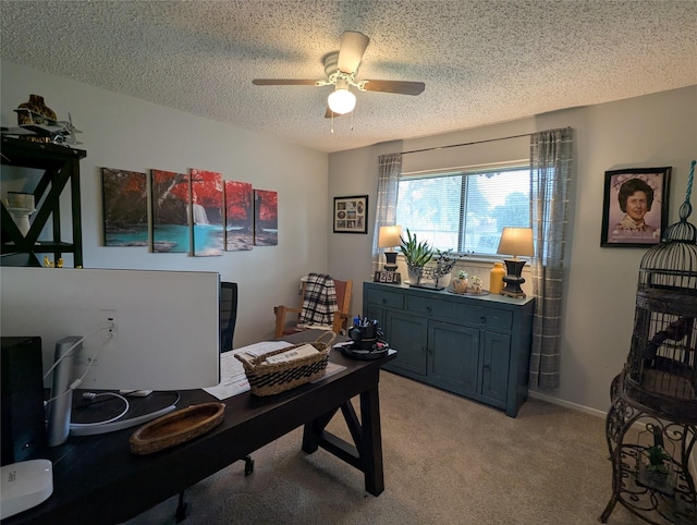 carpeted office space with ceiling fan and a textured ceiling