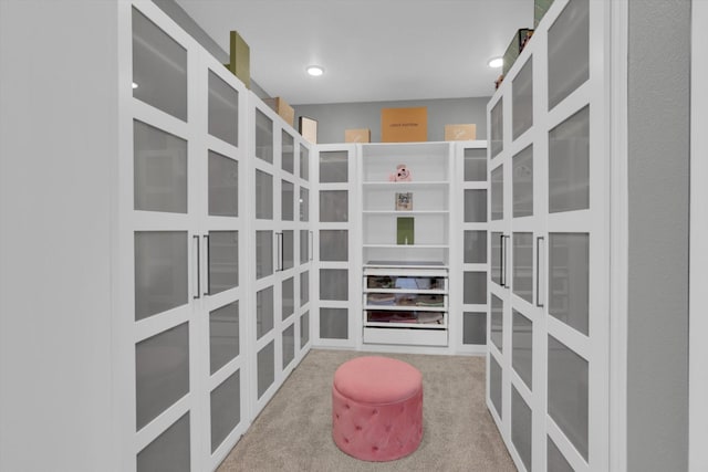 spacious closet with carpet flooring