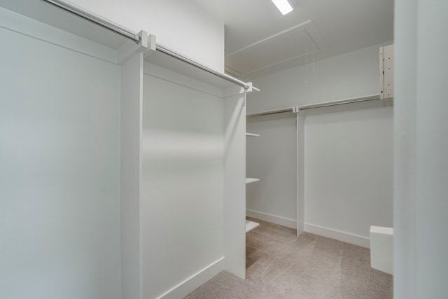 2125 Bird St, Fort Worth, TX 76111 - walk in closet featuring attic access and carpet flooring