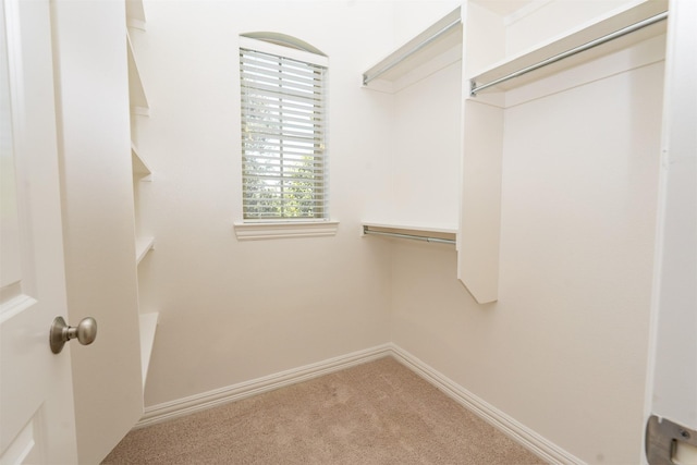 3019 Haywick, The Colony, TX 75056 - walk in closet with carpet floors