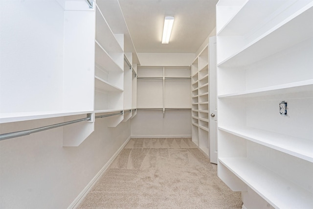 3019 Haywick, The Colony, TX 75056 - spacious closet featuring carpet floors