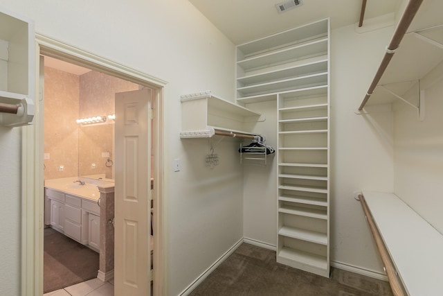 spacious closet with visible vents and a sink