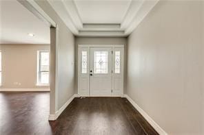 foyer featuring a raised ceiling and dark hardwood / wood-style floors