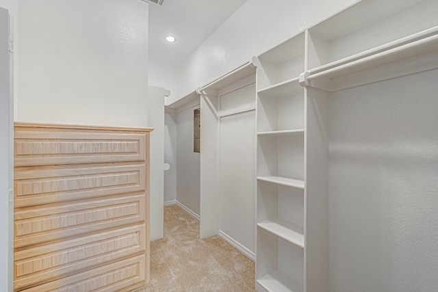 spacious closet featuring light carpet