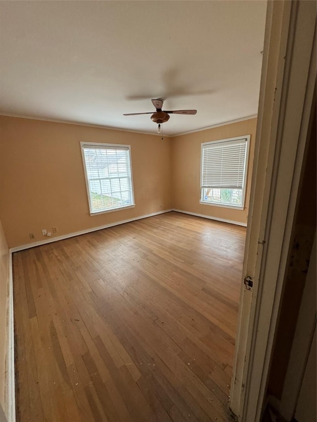 empty room with light hardwood / wood-style floors and ceiling fan