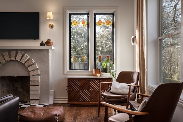 living area featuring dark wood-type flooring and plenty of natural light