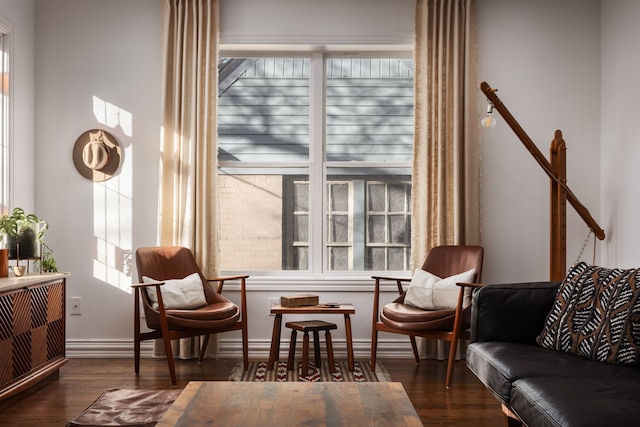 living area featuring dark hardwood / wood-style flooring