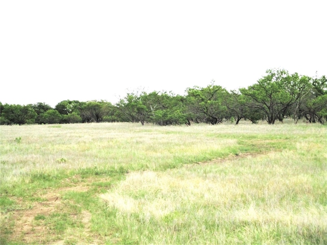 Address Not Disclosed, Jacksboro TX, 76458 land for sale