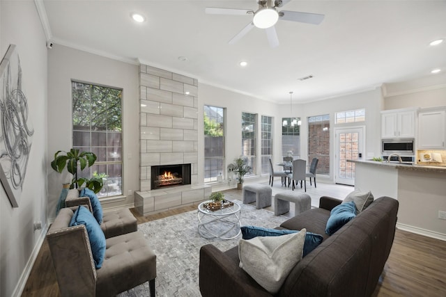 living room featuring ornamental molding, dark wood-type flooring, ceiling fan, and a fireplace