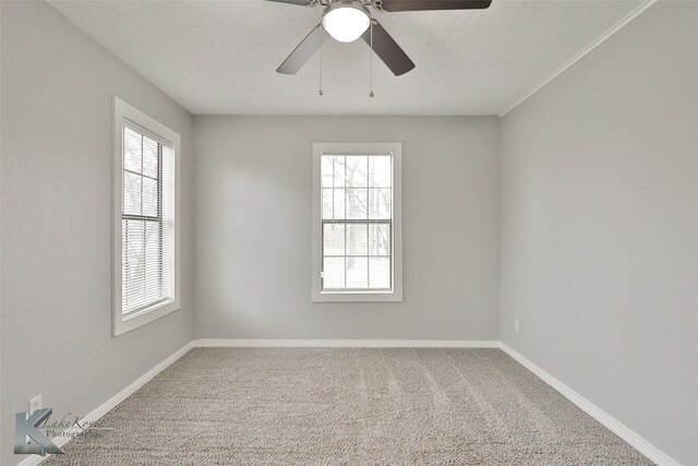 spare room with ceiling fan, plenty of natural light, carpet floors, and a textured ceiling