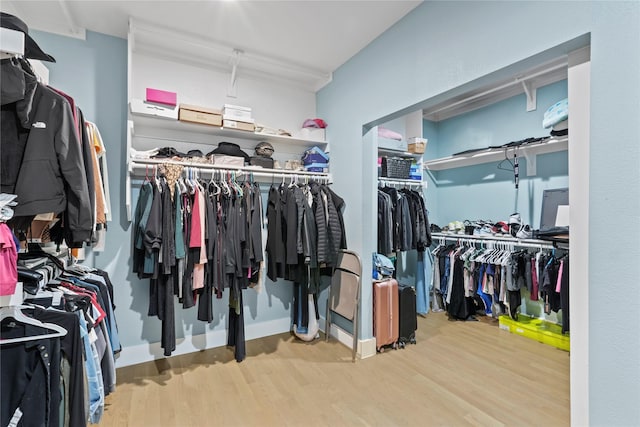 walk in closet with wood-type flooring