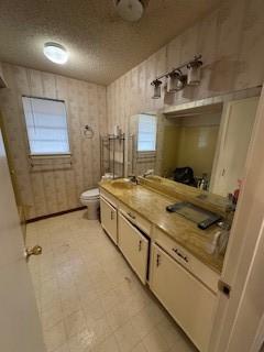 bathroom featuring vanity, toilet, and a textured ceiling