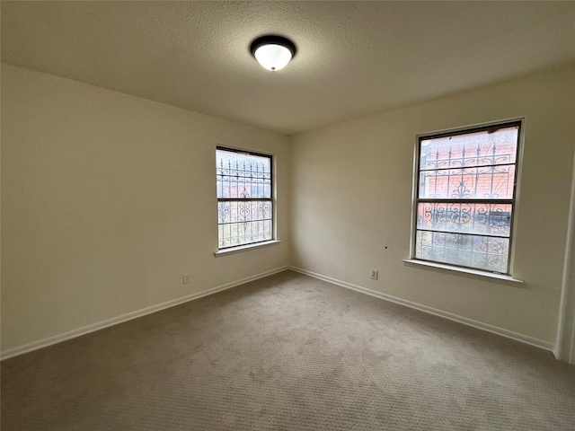 spare room with carpet flooring and a textured ceiling