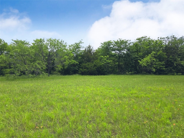 LOT182 Cobalt Cv, Corsicana, TX 75109