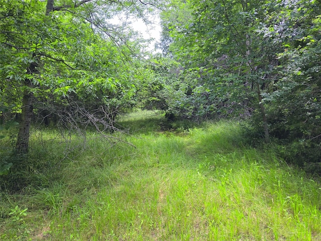 LOT182 Cobalt Cv, Corsicana, TX 75109
