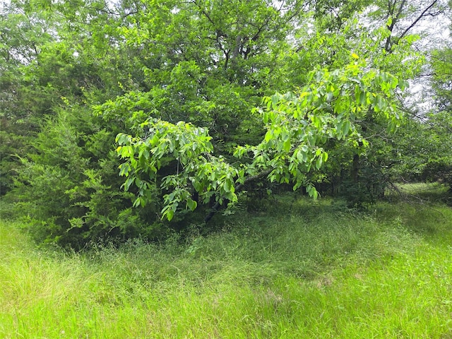 LOT182 Cobalt Cv, Corsicana, TX 75109