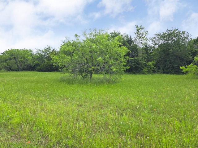 LOT182 Cobalt Cv, Corsicana, TX 75109