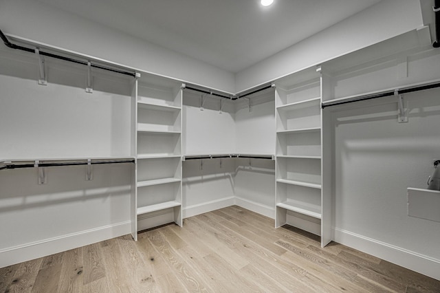 walk in closet with light wood-style flooring