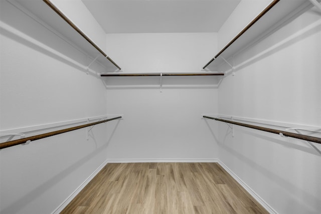 spacious closet with light wood-type flooring