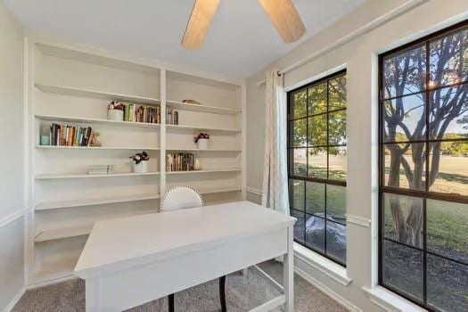 12 Brookhaven Dr, Lucas, TX 75002 - view of carpeted office space