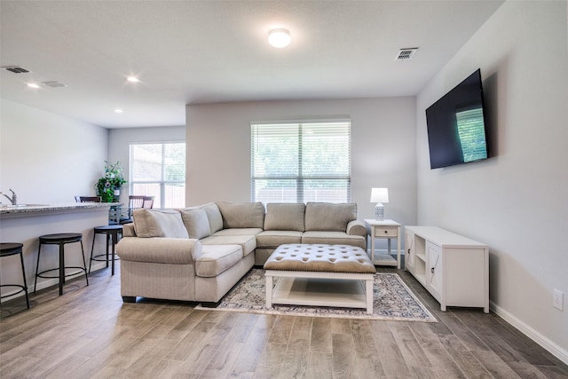 living room featuring hardwood / wood-style flooring and sink