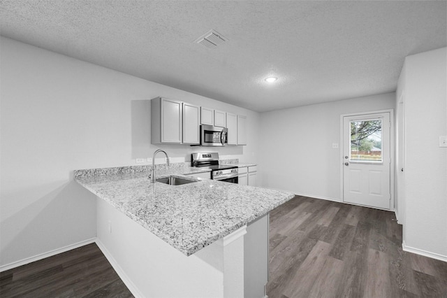 kitchen featuring sink, dark hardwood / wood-style floors, kitchen peninsula, and appliances with stainless steel finishes