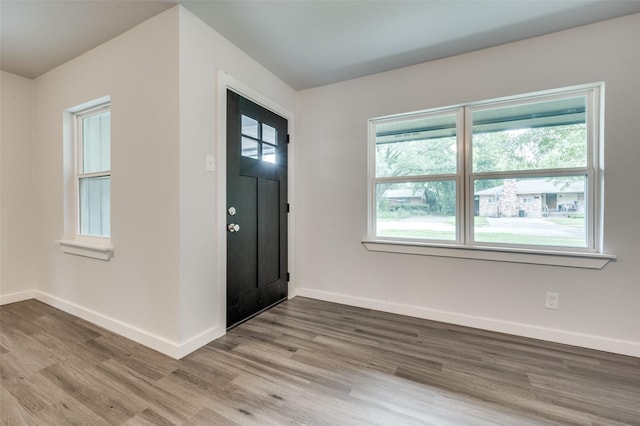 foyer featuring hardwood / wood-style flooring