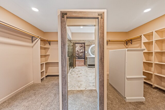 walk in closet featuring carpet flooring