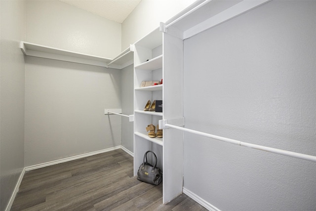 4113 Esters Rd Unit 609, Irving, TX 75038 - walk in closet with wood finished floors