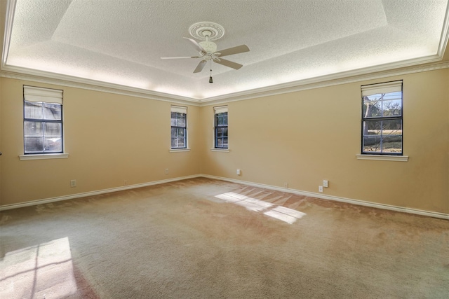 carpeted empty room with a healthy amount of sunlight, a raised ceiling, and a textured ceiling