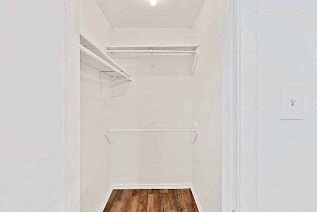 walk in closet featuring wood finished floors