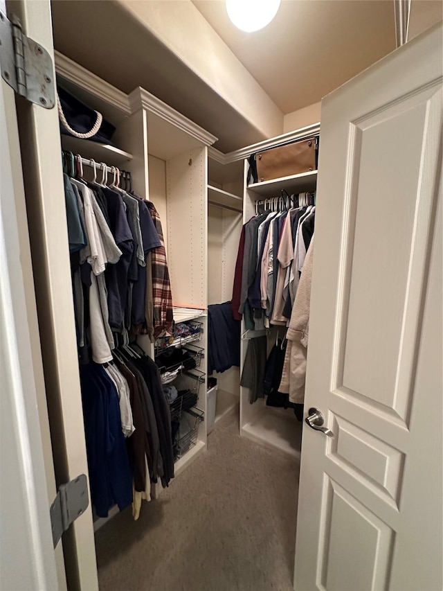 spacious closet featuring carpet flooring