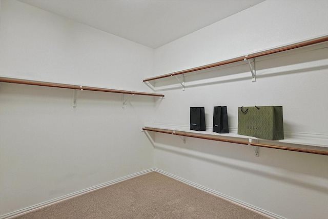 spacious closet with carpet