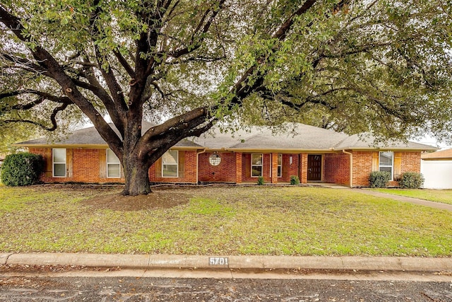 ranch-style home with a front yard