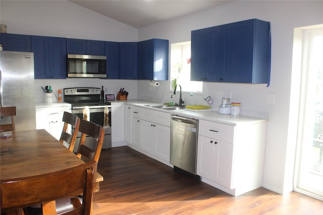 kitchen featuring appliances with stainless steel finishes, blue cabinets, a sink, and wood finished floors