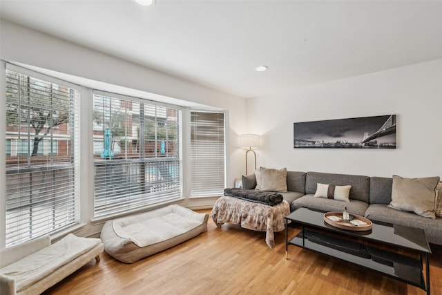 living room with hardwood / wood-style flooring