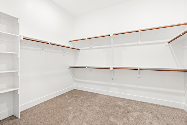 spacious closet featuring light colored carpet