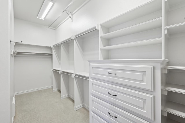 spacious closet featuring light carpet