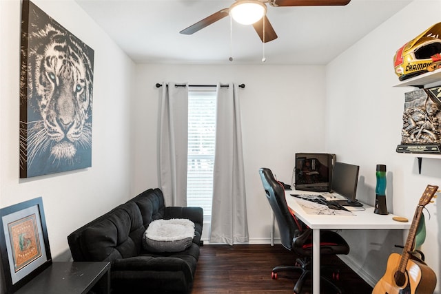 office space with dark hardwood / wood-style flooring and ceiling fan