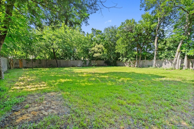 4217 Winfield Ave, Fort Worth, TX 76109 - view of yard