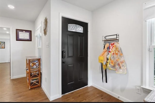 entryway featuring hardwood / wood-style floors and plenty of natural light