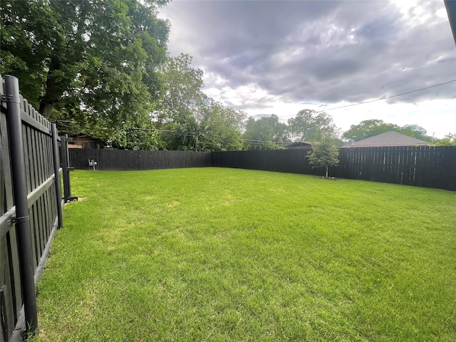 114 W Ohio Ave, Dallas, TX 75224 - view of yard
