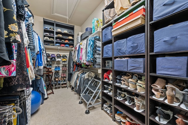 walk in closet featuring carpet floors