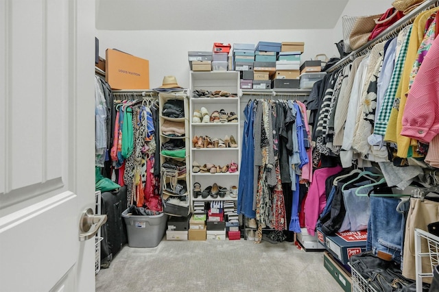 walk in closet with carpet floors