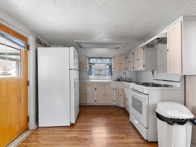 kitchen with white cabinetry, plenty of natural light, light wood-type flooring, and white appliances