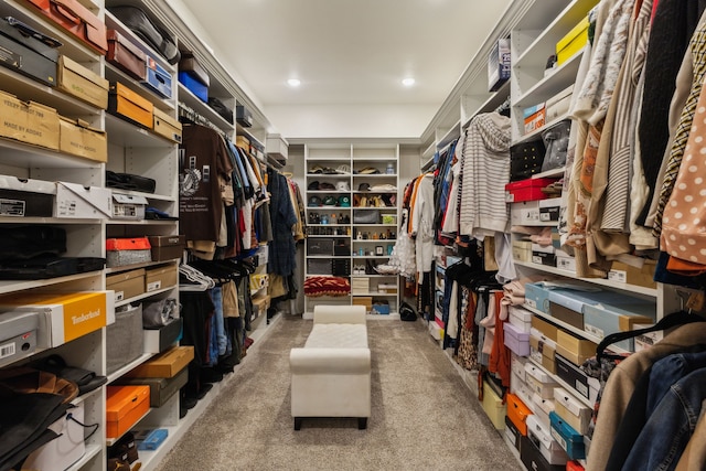 view of walk in closet