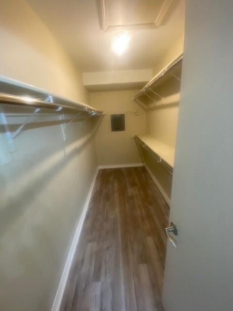 spacious closet featuring dark wood-style flooring