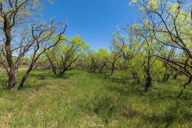 Listing photo 2 for TBD County Road 121, Sweetwater TX 79556