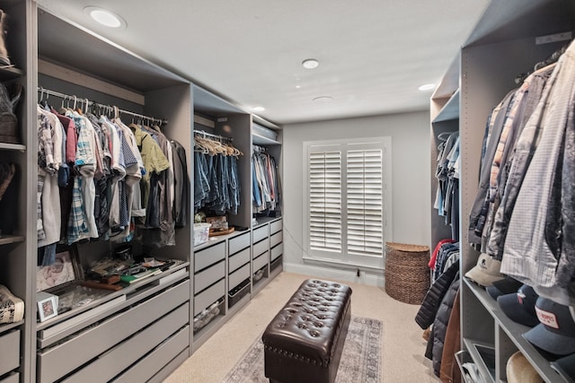 4800 Lusk Ln, Flower Mound, TX 75028 - spacious closet featuring light carpet
